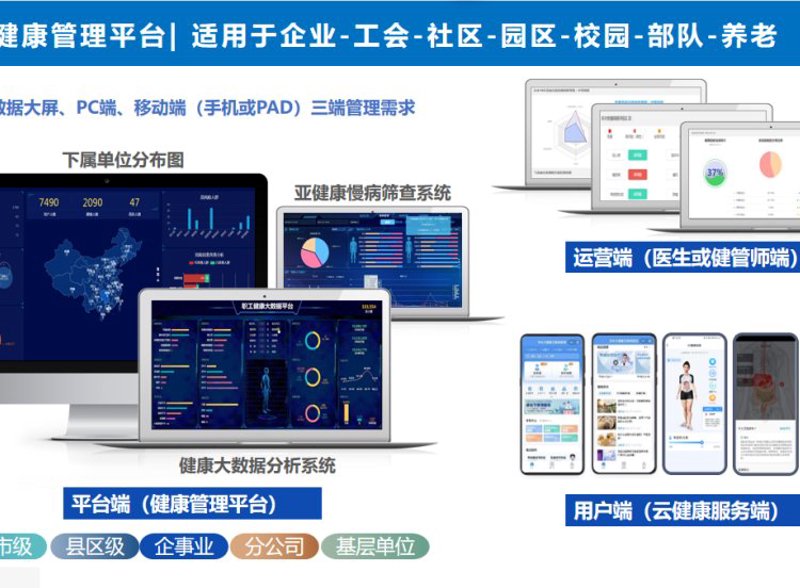 梦宝集团董事长如何引领企业走向辉煌？